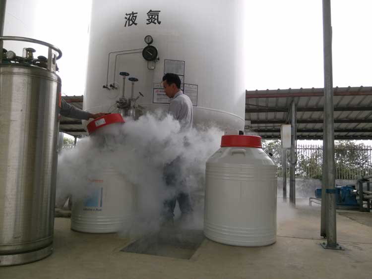 联鸿液氮气体充装现场二